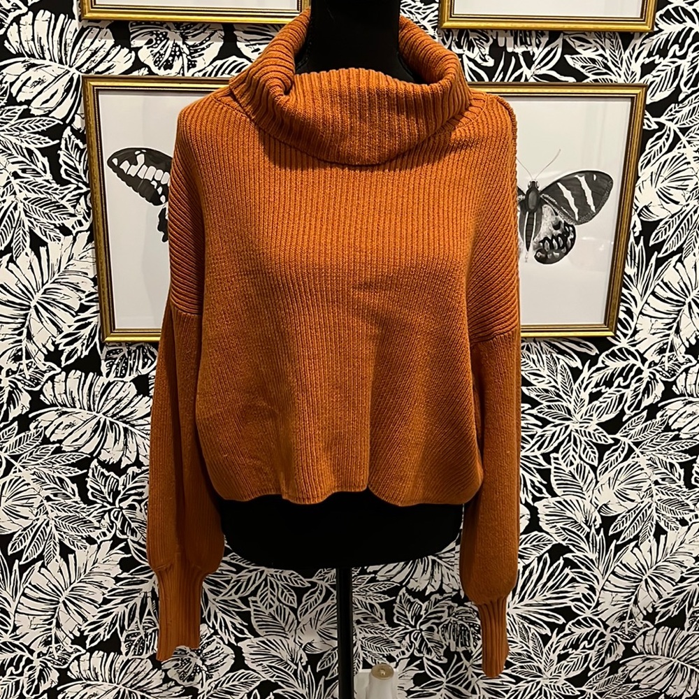 Brand new wild fable turtle neck